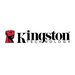 Kingston Technology