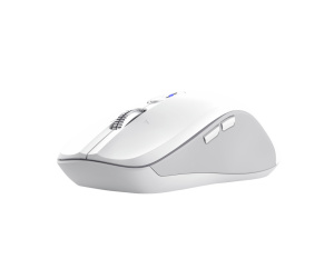 Trust 25674 souris Universel Ambidextre Bluetooth 3200 DPI