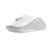 Trust 25674 souris Universel Ambidextre Bluetooth 3200 DPI