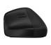HP Souris verticale ergonomique 925