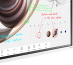 Samsung Flip Pro WM55B Interactive Display