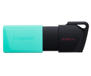 Kingston Technology DataTraveler 256GB USB3.2 Gen1 Exodia M (Noir + Turquoise)