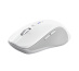 Trust 25674 souris Universel Ambidextre Bluetooth 3200 DPI