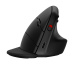 HP Souris verticale ergonomique 925