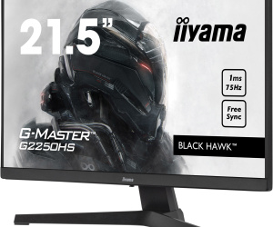 iiyama G-MASTER G2250HS-B1 écran plat de PC 54,6 cm (21.5") 1920 x 1080 pixels Full HD LED Noir