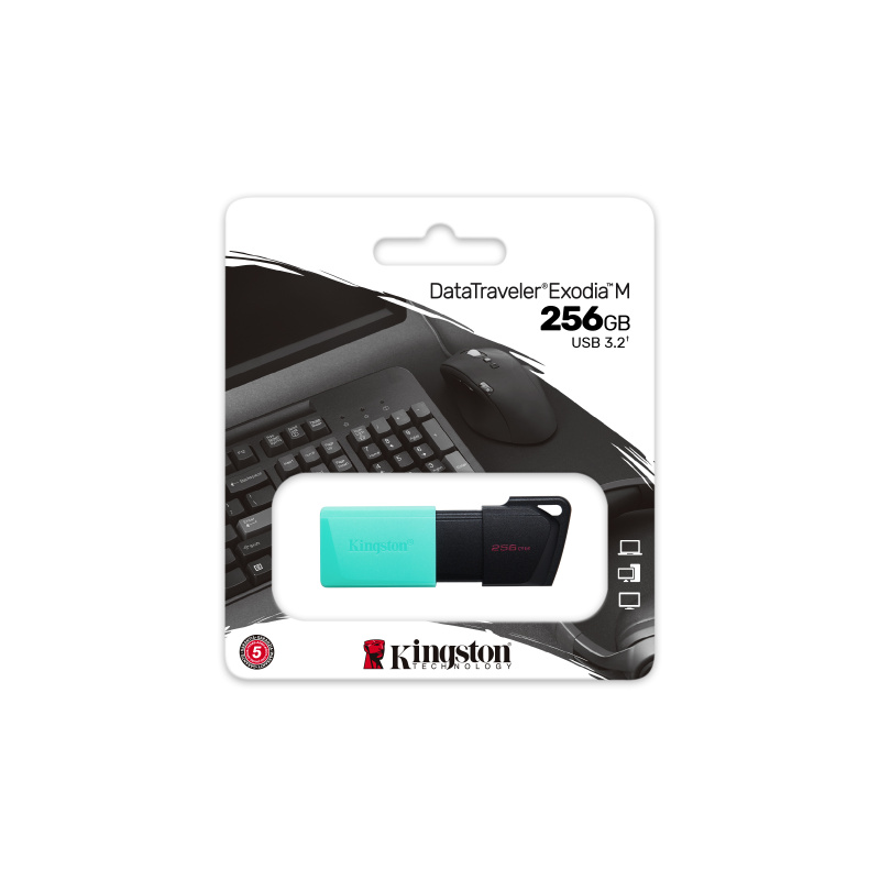 Kingston Technology DataTraveler 256GB USB3.2 Gen1 Exodia M (Noir + Turquoise)