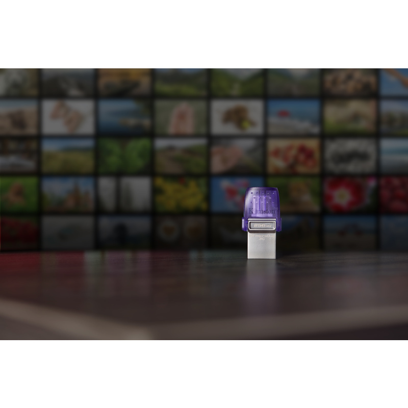 Kingston Technology DataTraveler 256 Go microDuo 3C 200 Mo/s dual USB-A + USB-C