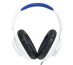 JBL Quantum 100P