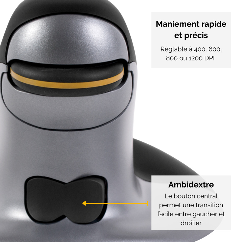 Fellowes Souris verticale ambidextre Penguin – Sans fil - Moyen