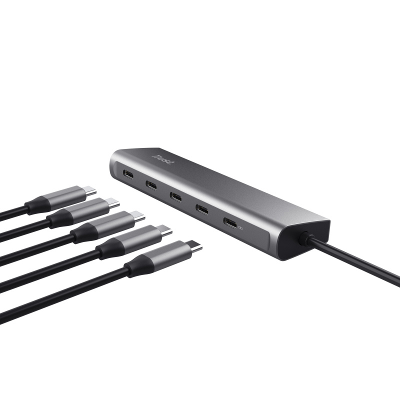 Trust Halyx USB 3.2 Gen 1 (3.1 Gen 1) Type-C Argent