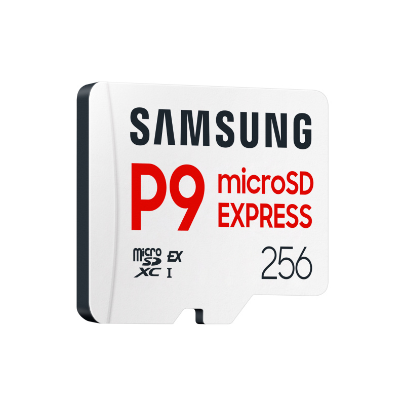 Samsung Carte microSD P9 Express 256 Go