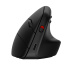 HP Souris verticale ergonomique 925