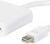 eSTUFF 0.15m MiniDP - DVI-D m/f 0,15 m Mini DisplayPort Blanc