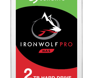 Seagate IronWolf ST2000NE0025 disque dur 3.5" 2 To Série ATA III