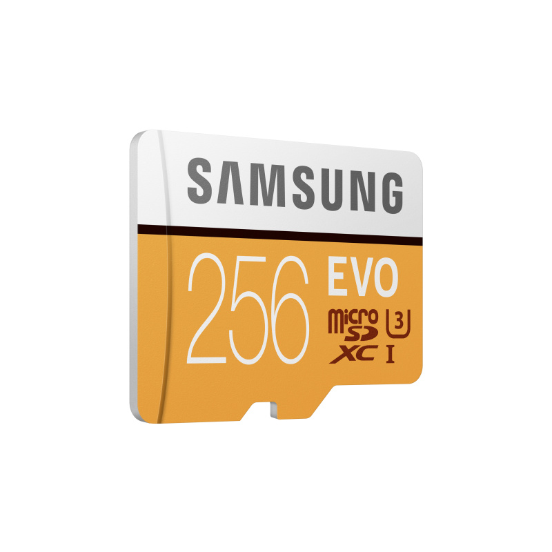 Samsung MB-MP256G 256 Go MicroSDXC UHS-I Classe 10