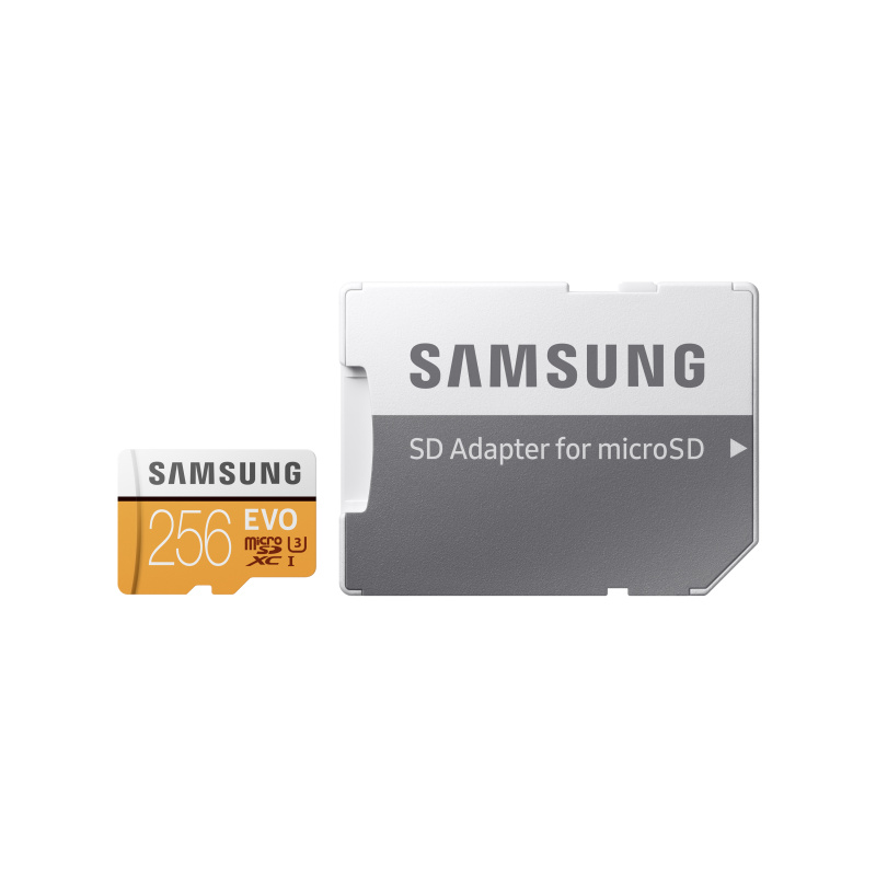 Samsung MB-MP256G 256 Go MicroSDXC UHS-I Classe 10