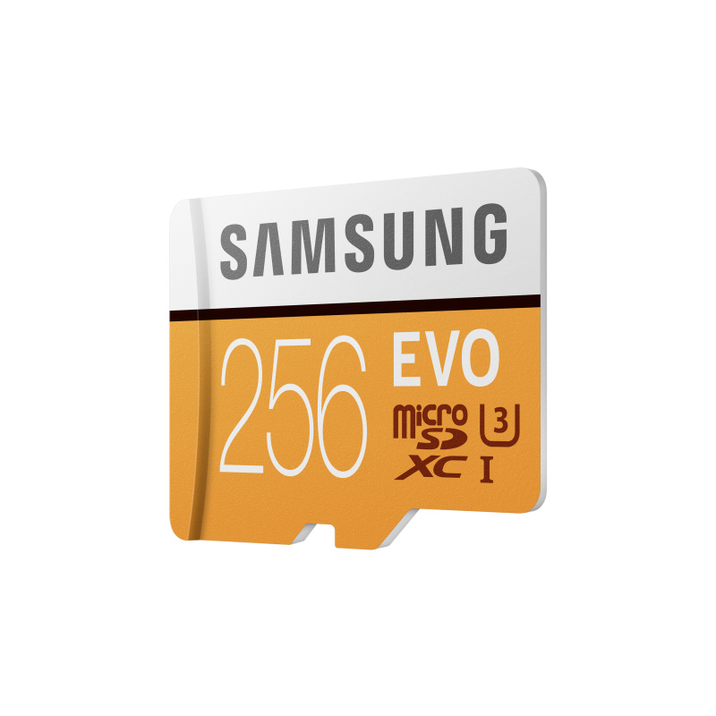 Samsung MB-MP256G 256 Go MicroSDXC UHS-I Classe 10