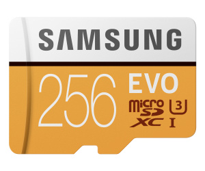 Samsung MB-MP256G 256 Go MicroSDXC UHS-I Classe 10