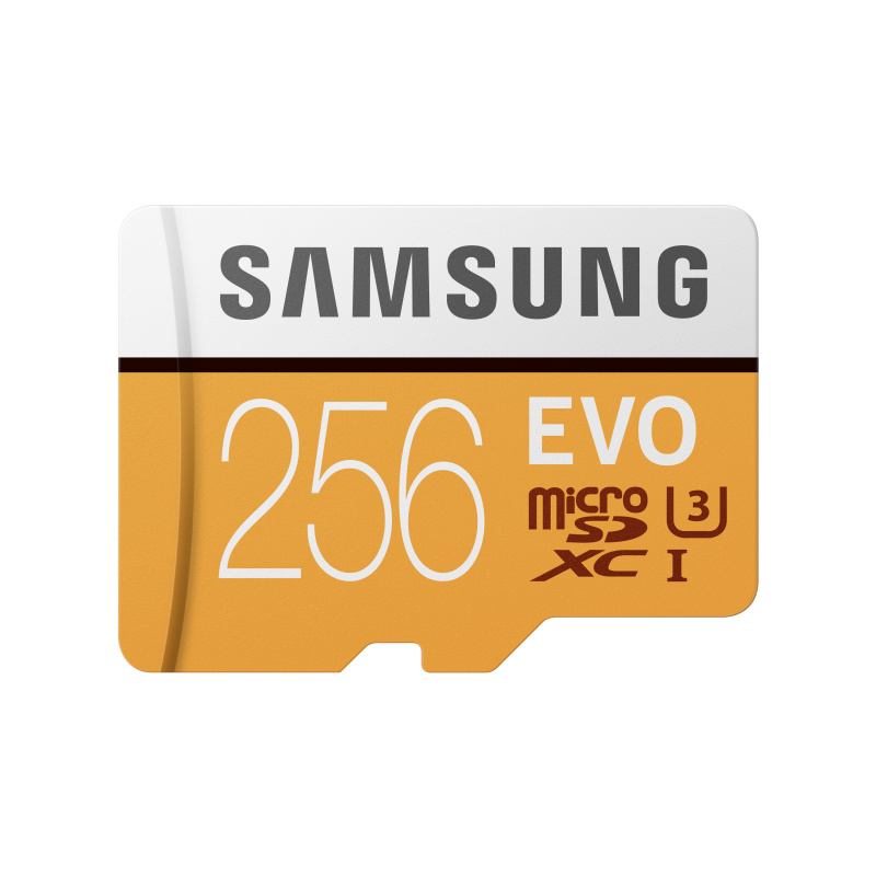 MEMOIRE MICROSD EVO SAMSUNG 256GB CL10 MB MP256GA EU ADS Technologie