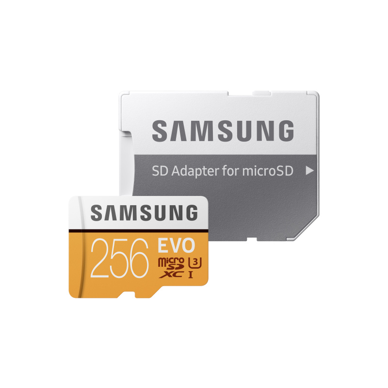 Samsung MB-MP256G 256 Go MicroSDXC UHS-I Classe 10