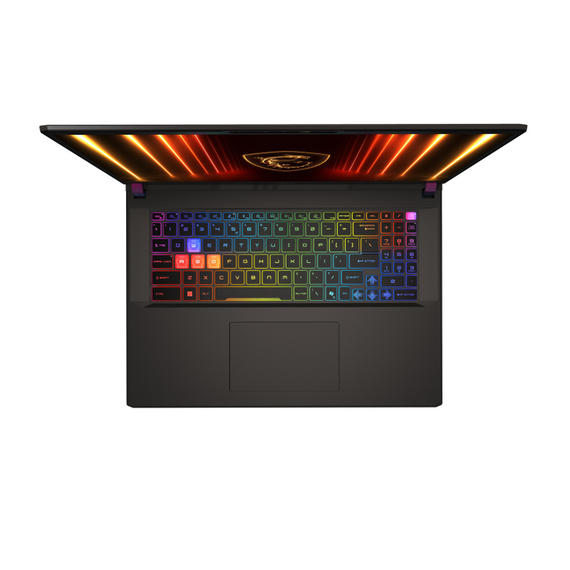 MSI Vector 17 HX AI A2XWIG-010FR Intel Core Ultra 9 275HX Ordinateur portable 43,2 cm (17") Quad HD+ 32 Go DDR5-SDRAM 2 To SSD NVIDIA GeForce RTX 5080 Wi-Fi 7 (802.11be) Windows 11 Home Français Gris