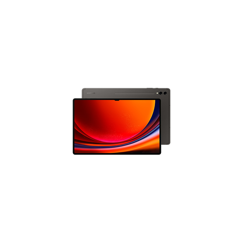 Samsung Galaxy Tab S9 Ultra SM-X916B 5G Qualcomm Snapdragon LTE-TDD & LTE-FDD 256 Go 37,1 cm (14.6") 12 Go Wi-Fi 6 (802.11ax) Android 13 Graphite