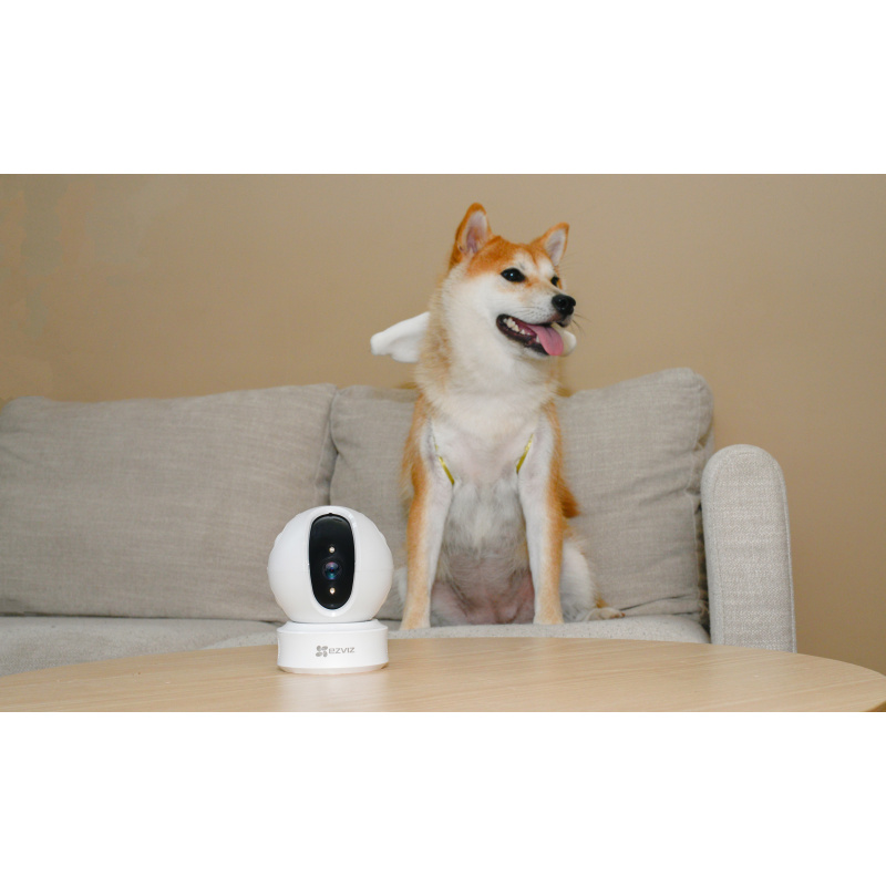 EZVIZ C6C FHD Dôme Caméra de sécurité IP Intérieure 1920 x 1080 pixels Au plafond/à poser