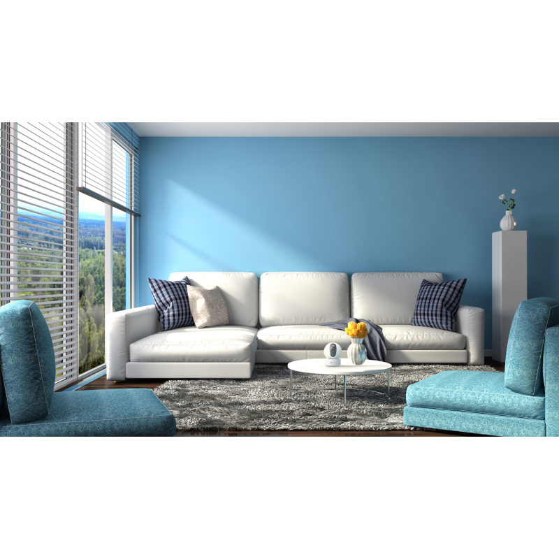 EZVIZ C6C FHD Dôme Caméra de sécurité IP Intérieure 1920 x 1080 pixels Au plafond/à poser