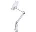 Neomounts TABLET-D100SILVER Porte-tablette à pince pour bureau 4.7-12.9" - universel - orientable