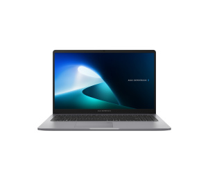 ASUS ExpertBook P1 P1503CVA-S70411W Intel® Core™ i3 i3-1315U Ordinateur portable 39,6 cm (15.6") Full HD 8 Go DDR5-SDRAM 512 Go SSD Wi-Fi 6 (802.11ax) Windows 11 Home Gris