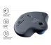 Logitech TRACKMAN Wireless Trackball M570 souris Droitier RF sans fil Laser