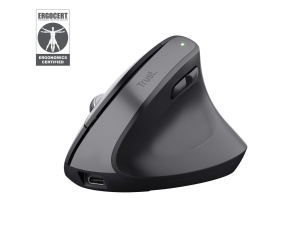 Trust Bayo+ souris Bureau Droitier RF sans fil + Bluetooth Optique 2400 DPI