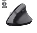 Trust Bayo+ souris Bureau Droitier RF sans fil + Bluetooth Optique 2400 DPI