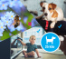 EZVIZ C3A Caméra de sécurité IP Intérieure et extérieure 1920 x 1080 pixels Mur