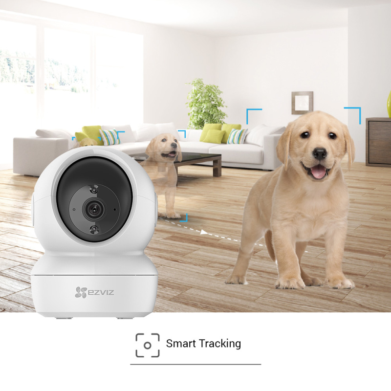 EZVIZ C6N Dôme Caméra de sécurité IP Intérieure 1920 x 1080 pixels Plafond