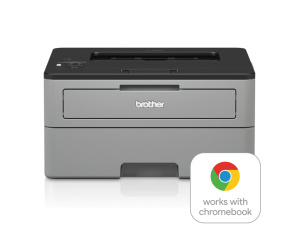 Brother HL-L2350DW imprimante laser 2400 x 600 DPI A4 Wifi