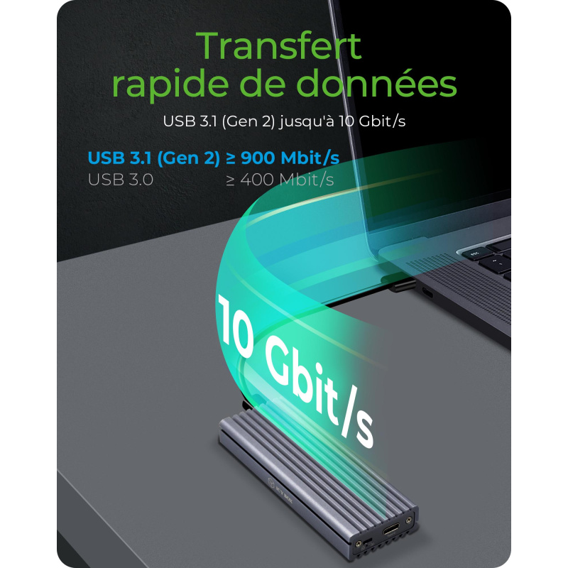 ICY BOX IB-1817M-C31 Enceinte ssd Gris M.2