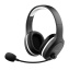 Trust GXT 391 Thian Casque Avec fil &sans fil Arceau Gaming USB Type-C Noir, Blanc