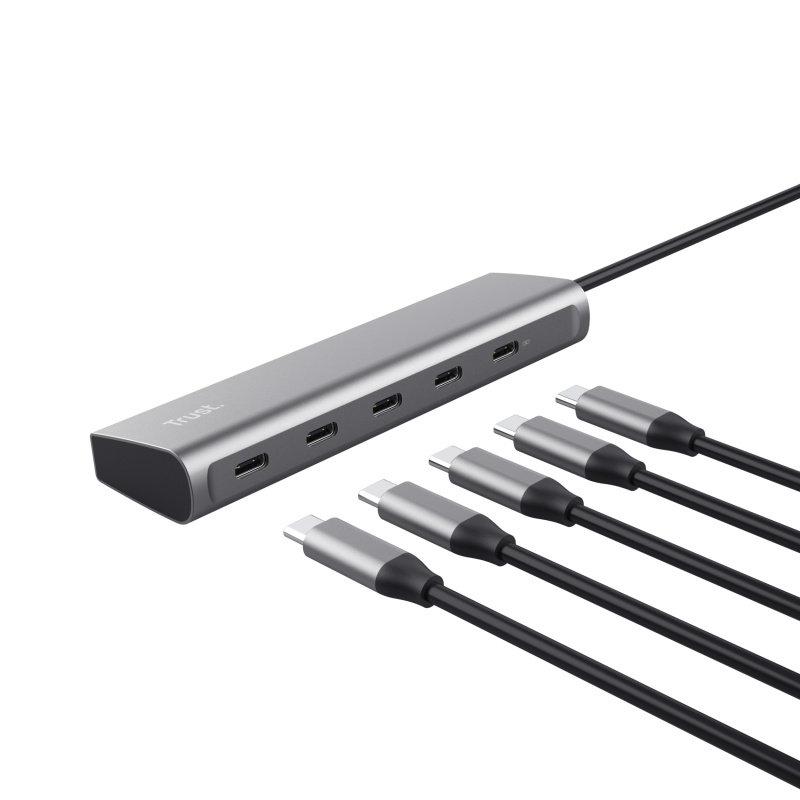 Trust Halyx USB 3.2 Gen 1 (3.1 Gen 1) Type-C Argent