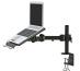 Neomounts NOTEBOOK-D100 Support d'ordinateur portable à fixer 10-22"