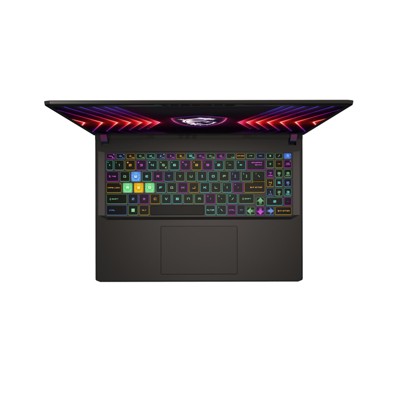 MSI Vector 16 HX A13VHG-290FR Intel® Core™ i9 i9-13980HX Ordinateur portable 40,6 cm (16") Full HD+ 16 Go DDR5-SDRAM 1 To SSD NVIDIA GeForce RTX 4080 Wi-Fi 6E (802.11ax) Windows 11 Home Noir