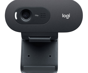 Logitech C505e webcam 1280 x 720 pixels USB Noir