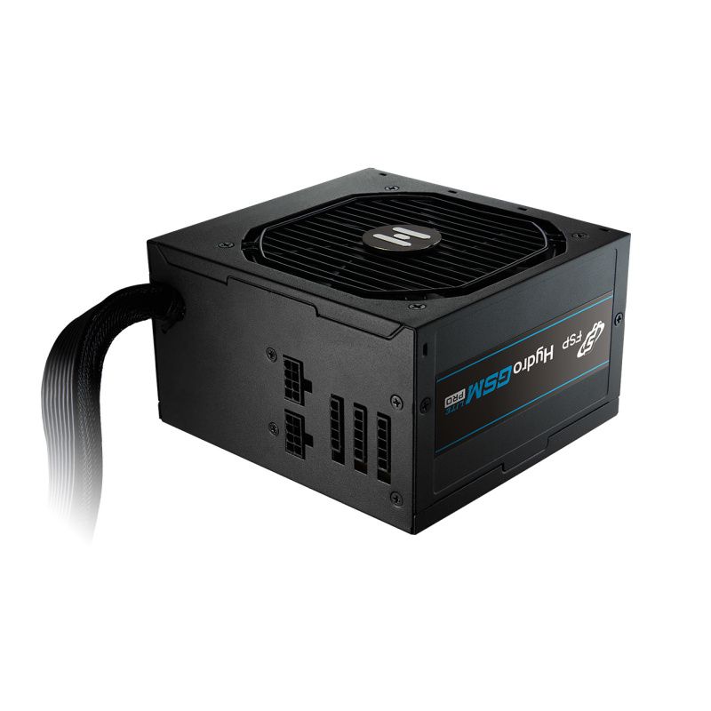 FSP Hydro GSM Lite PRO 750W unité d'alimentation d'énergie 20+4 pin ATX ATX Noir