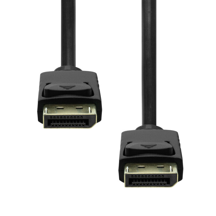 ProXtend DP1.2-002 câble DisplayPort 2 m Noir