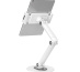 Neomounts DS15-550WH1 Support pour tablette 4.7-12.9" - universel