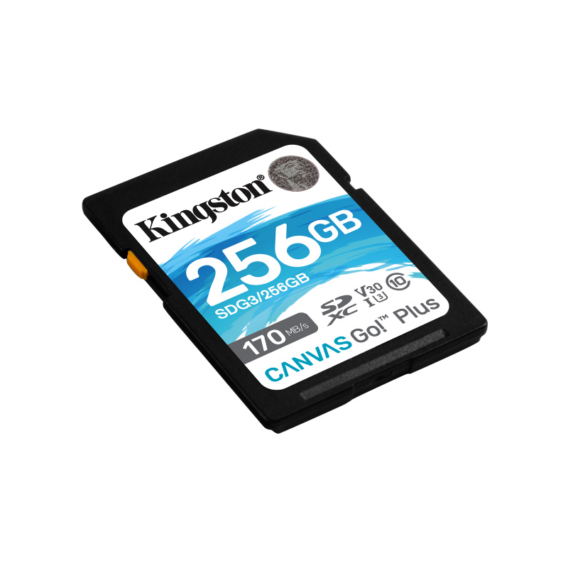 Kingston Technology Canvas Go! Plus Carte SDXC Canvas Go Plus 170R C10 UHS-I U3 V30 de 256 Go