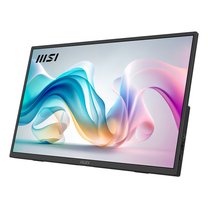 MSI PRO MP165 E6 téléviseur et moniteur portables Moniteur portable Noir 39,6 cm (15.6") LED 1920 x 1080 pixels