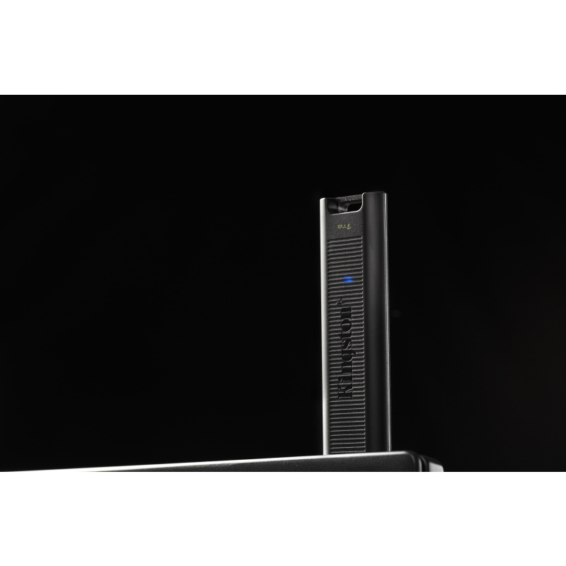 Kingston Technology DataTraveler 1TB Max 1000R/900W USB 3.2 Gen 2