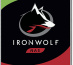 Seagate IronWolf ST10000VN000 disque dur 10 To 7200 tr/min 256 Mo 3.5" Série ATA III