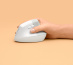 Logitech Lift souris Bureau Droitier RF sans fil + Bluetooth Optique 4000 DPI